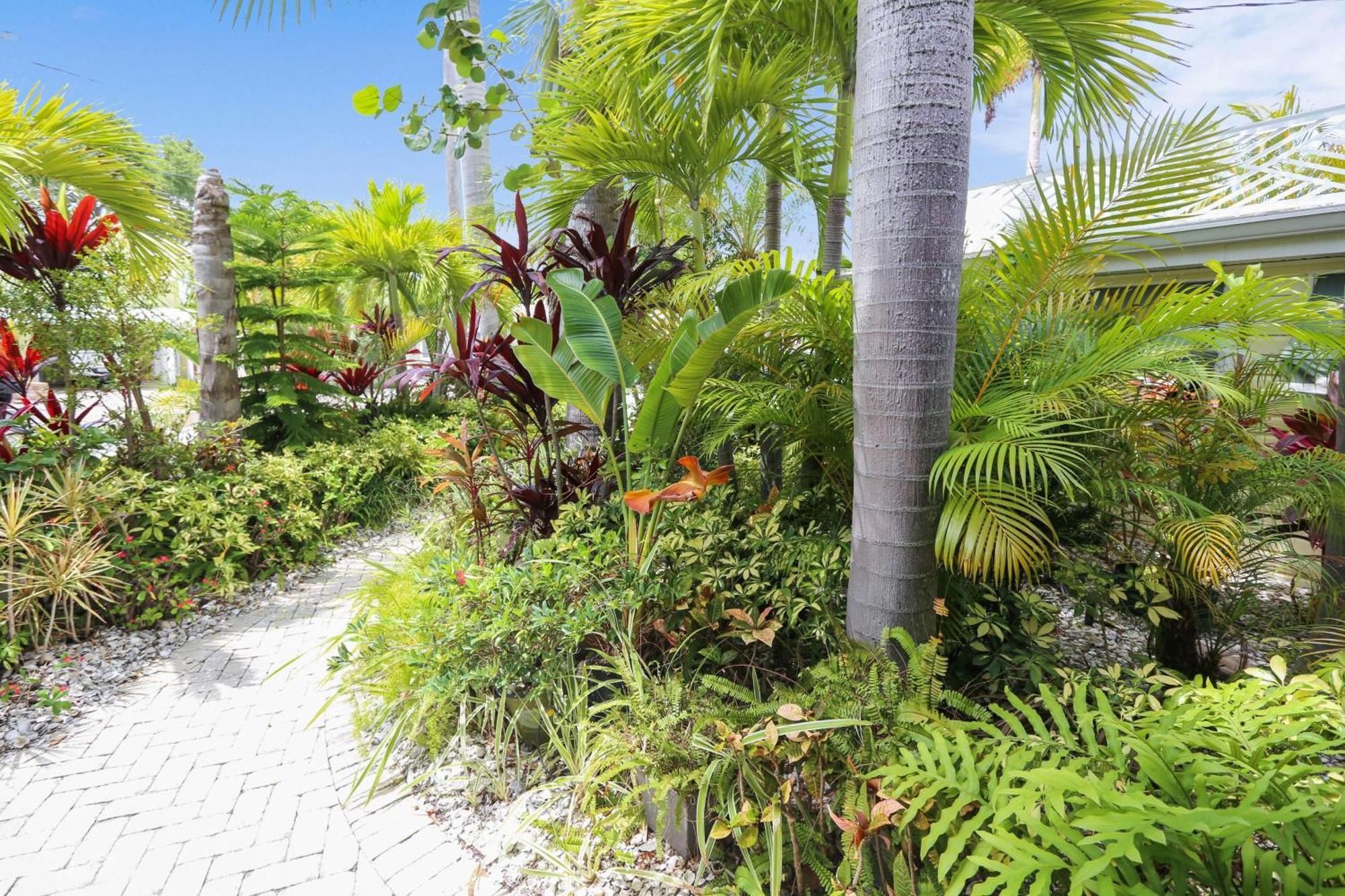 Coconut Paradise Сант Пит Бич Экстерьер фото